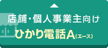 店舗・個人事業主向け ひかり電話A（エース）