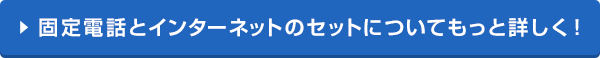 固定電話とインターネットのセットについてもっと詳しく！