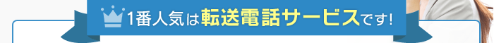 1番人気は転送電話サービス