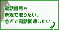 電話番号を新規で取りたい、急ぎで電話開通したい。