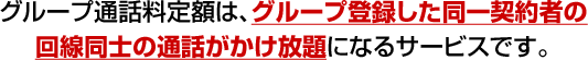 グループ通話料定額は、グループ登録した同一契約者の回線同士の通話がかけ放題になるサービスです。
