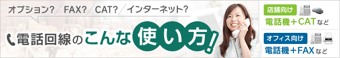 電話回線のこんな使い方！