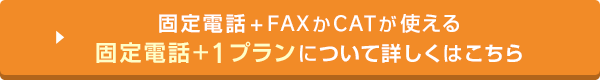 固定電話+FAXかCATが使える固定電話+1プランについて詳しくはこちら