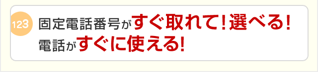 固定電話番号がすぐ取れて！選べる！電話がすぐに使える！