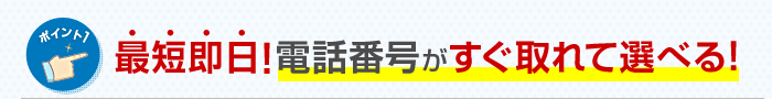 最短即日！電話番号がすぐ取れて選べる