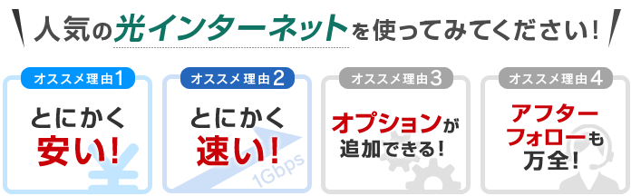 電話加入権ドットコムでインターネットをお申し込みされる方の98%が光！
